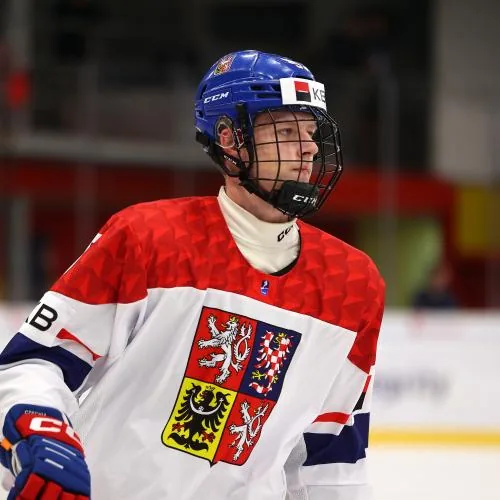 Matyas Michalek hockey prospect