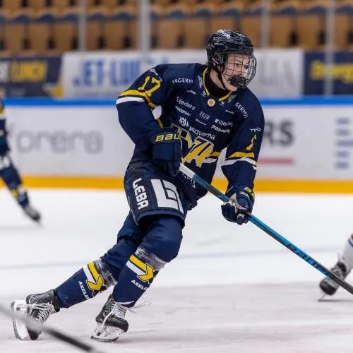Olle Sandberg hockey prospect